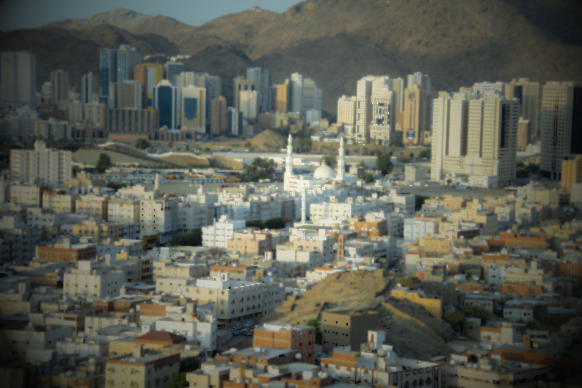 المدينة المنورة